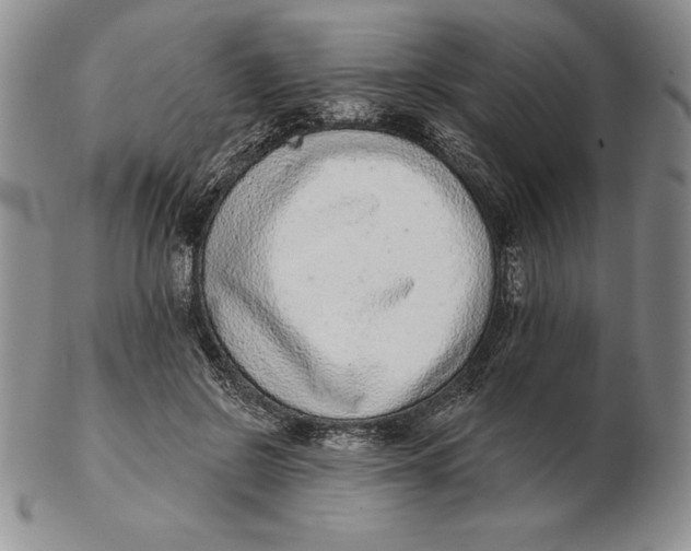 X0000102360550200808221718