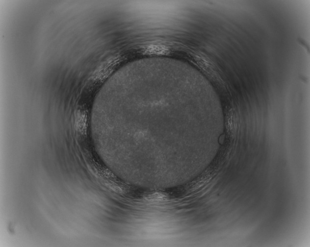 X0000102360551200808221718