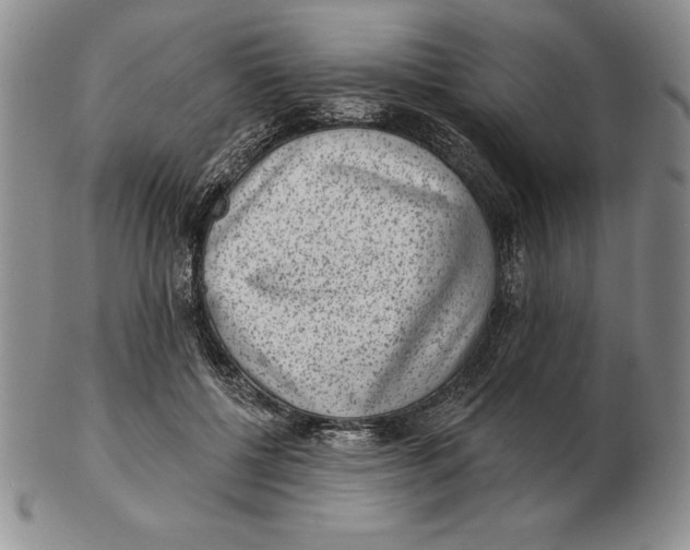 X0000102360552200808221718