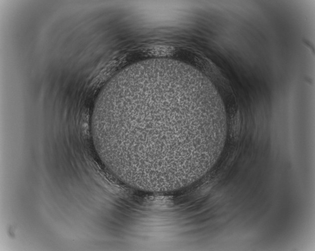 X0000102360553200808221718