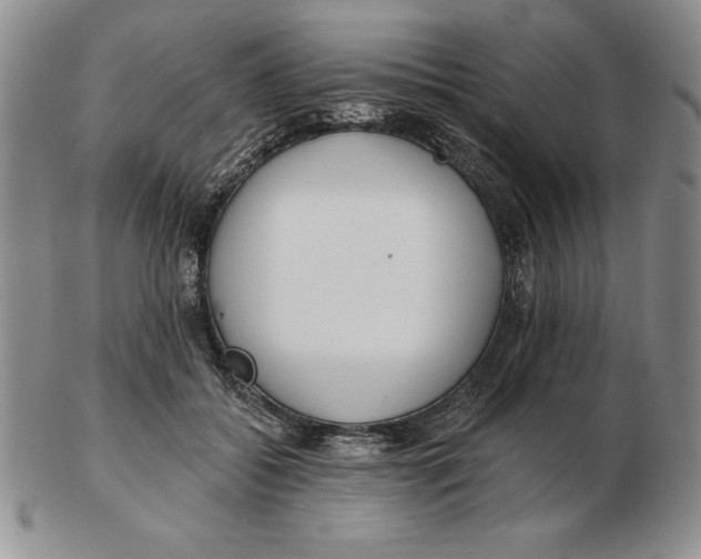 X0000102360556200808221718