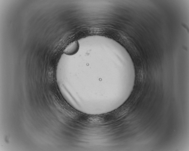 X0000102360557200808221718