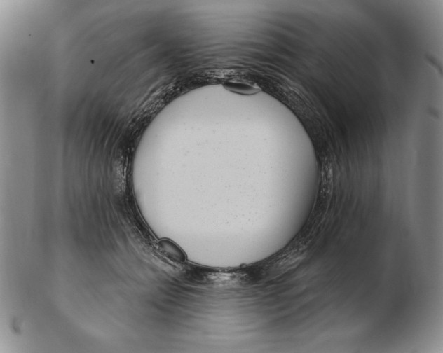 X0000102360558200808221718