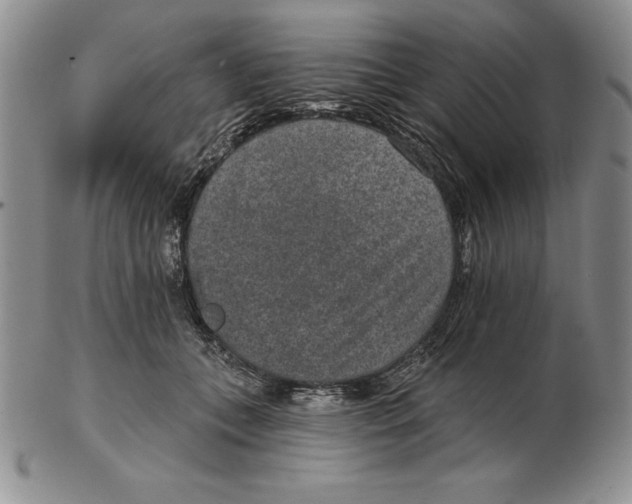 X0000102360559200808221718