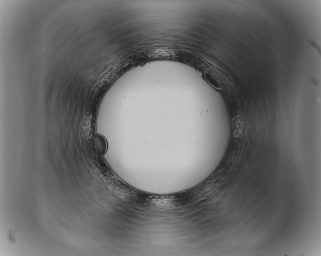 X0000102360560200808221718