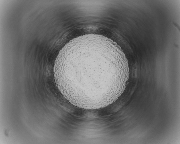 X0000102360561200808221718