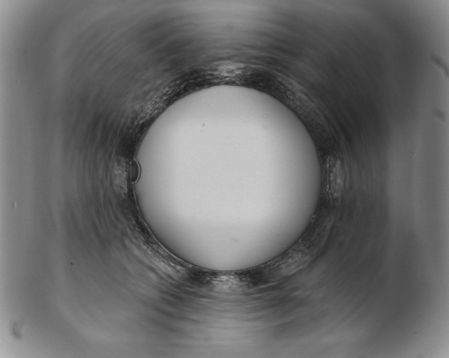 X0000102360562200808221718