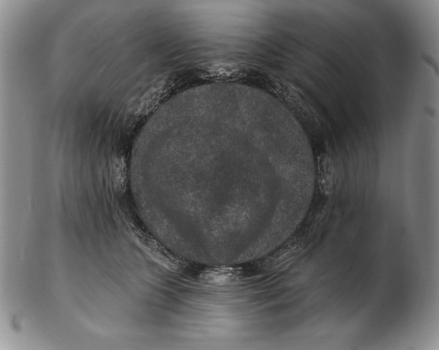 X0000102360563200808221718