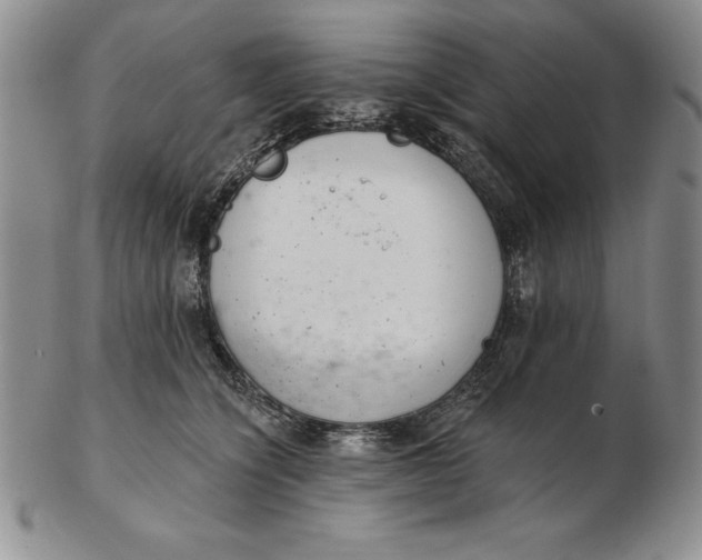 X0000102360564200808221718