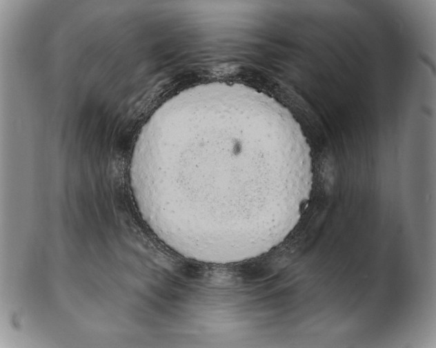 X0000102360565200808221718