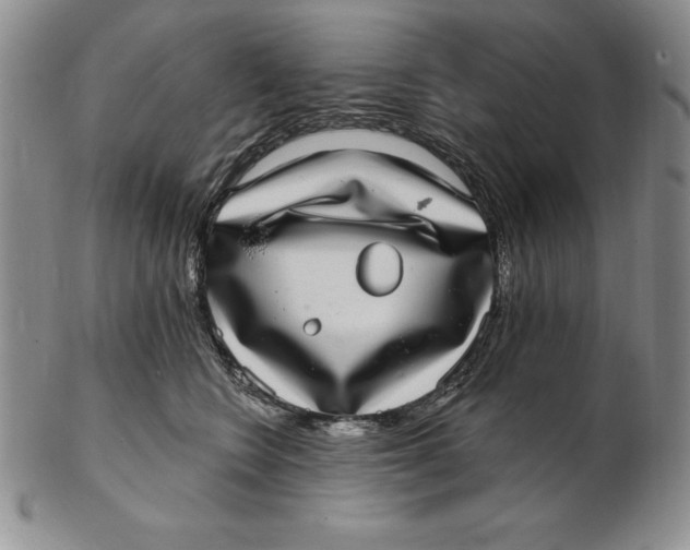 X0000102360566200808221718