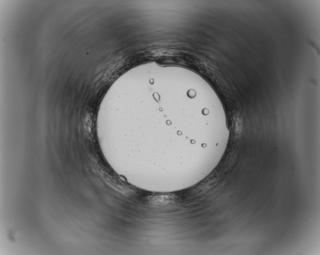 X0000102360567200808221718