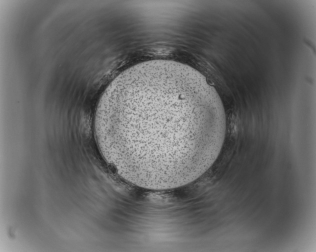 X0000102360568200808221718