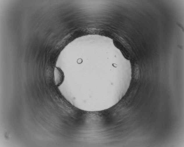 X0000102360569200808221718