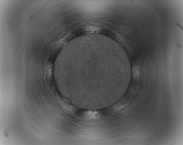 X0000102360570200808221719