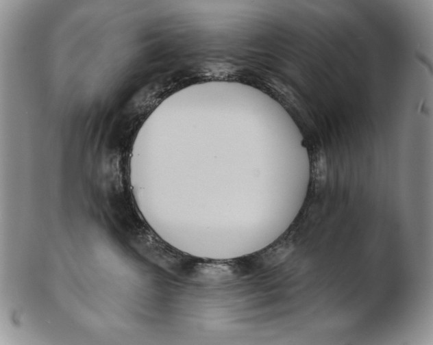 X0000102360572200808221719