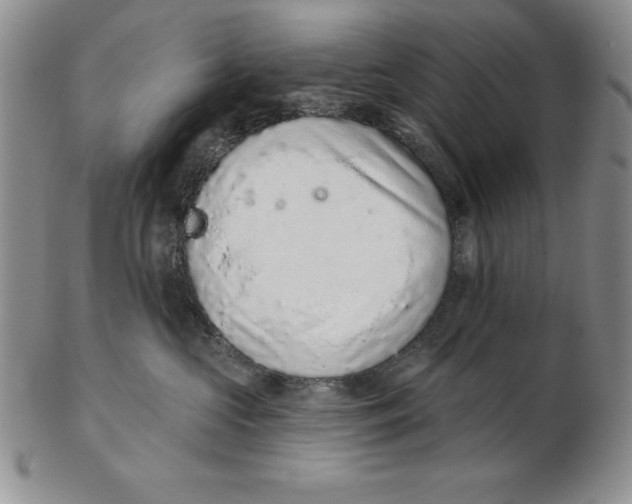 X0000102360573200808221719