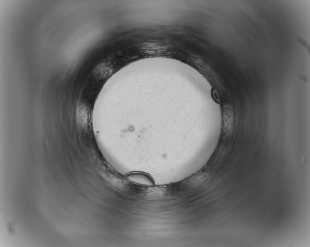 X0000102360574200808221719