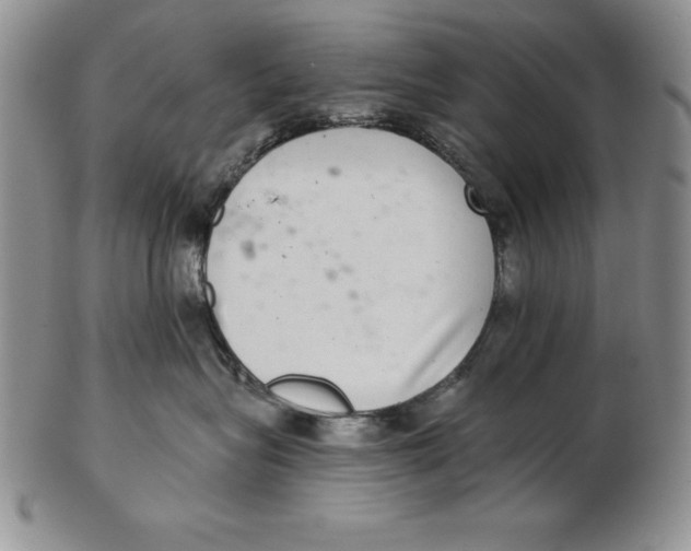 X0000102360575200808221719