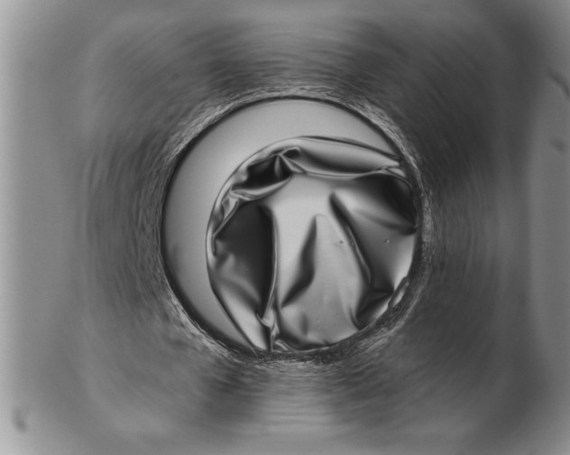 X0000102360577200808221718