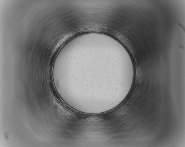 X0000102360578200808221718