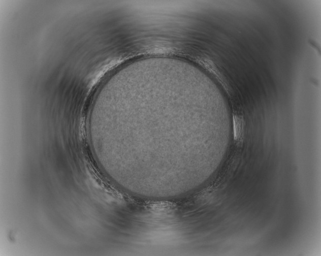 X0000102360579200808221718