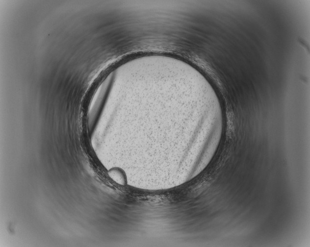 X0000102360580200808221718