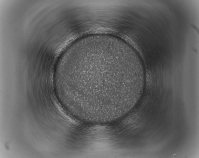 X0000102360581200808221718