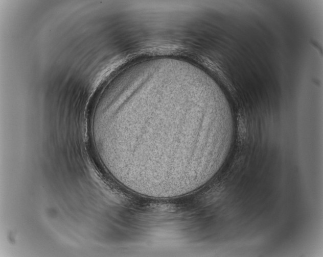 X0000102360582200808221718