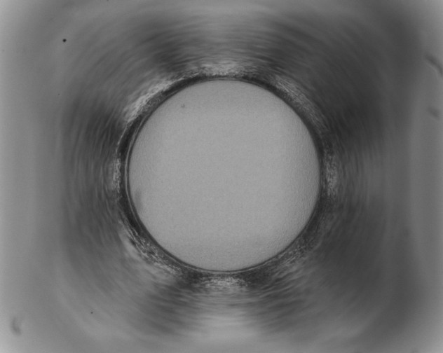 X0000102360583200808221718