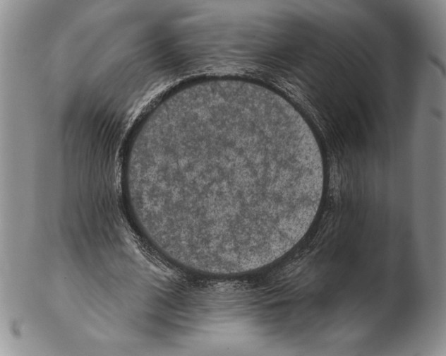 X0000102360584200808221718