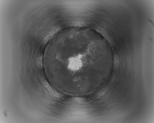 X0000102360585200808221718