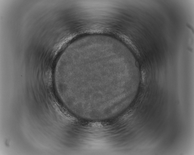 X0000102360588200808221718