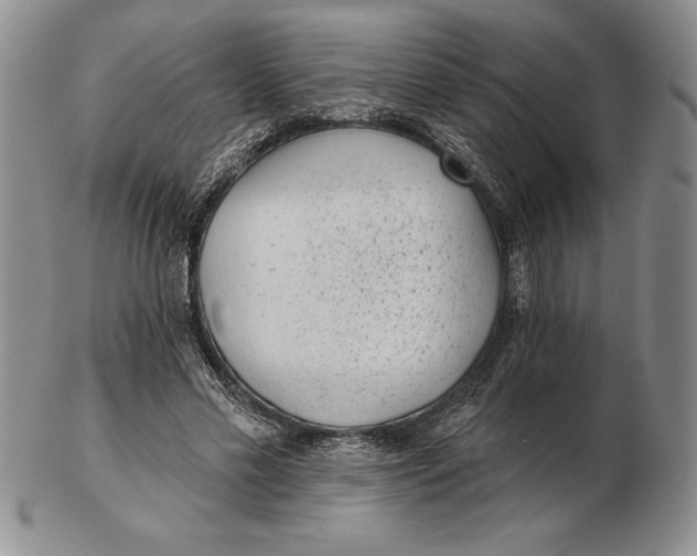 X0000102360589200808221718