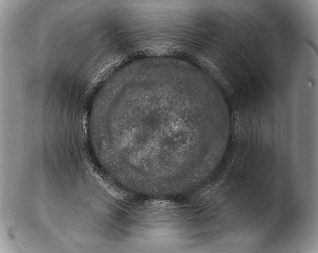 X0000102360590200808221718