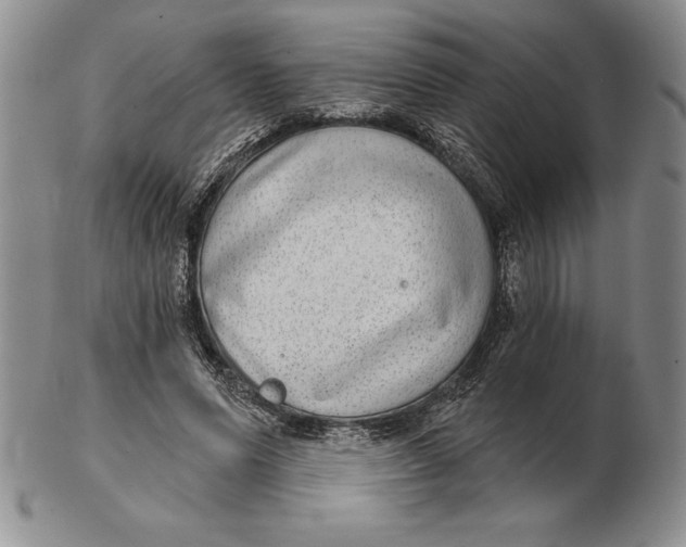 X0000102360591200808221718