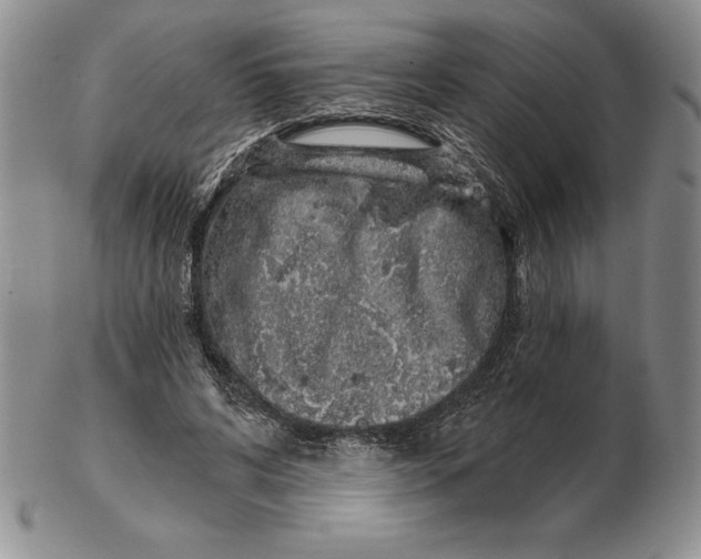 X0000102360592200808221718