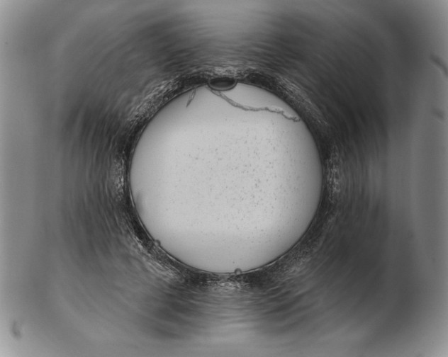 X0000102360593200808221718