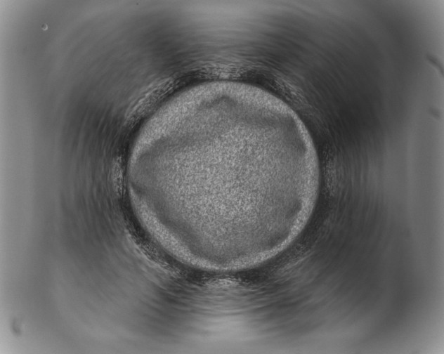 X0000102360594200808221718