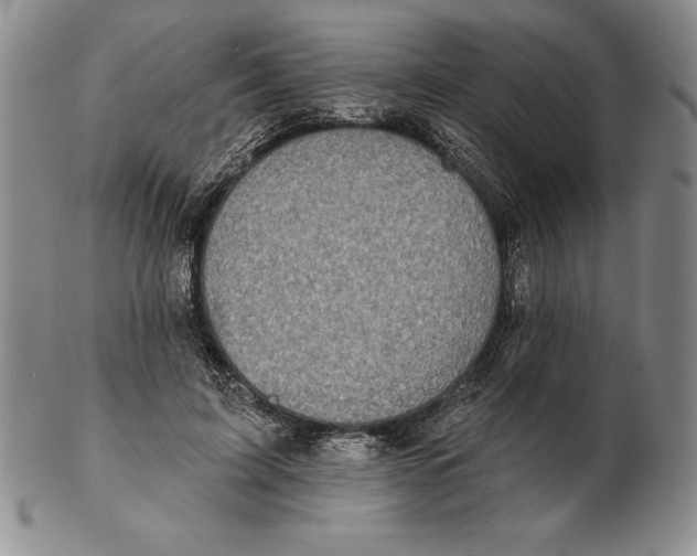 X0000102360595200808221718