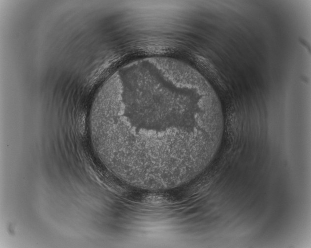 X0000102360596200808221718