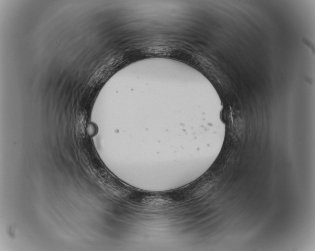 X0000102360597200808221718