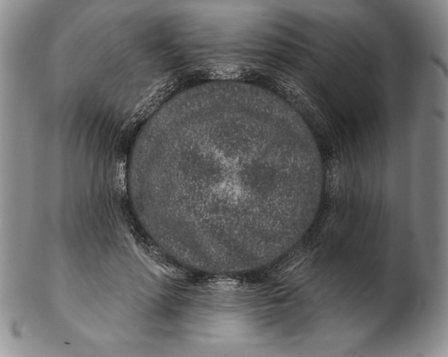 X0000102360598200808221717