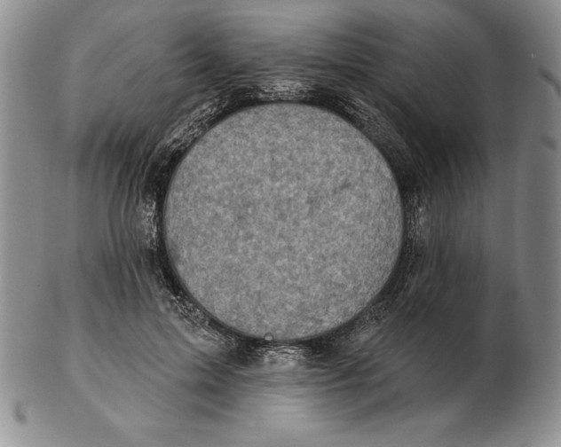 X0000102360599200808221717