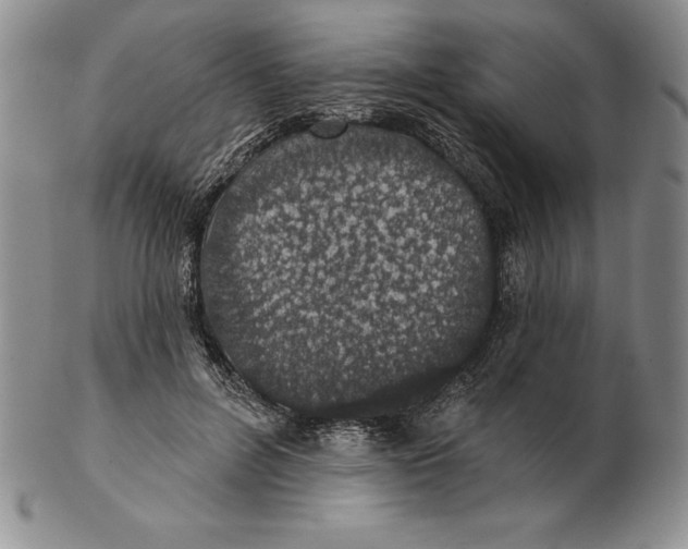 X0000102360600200808221717