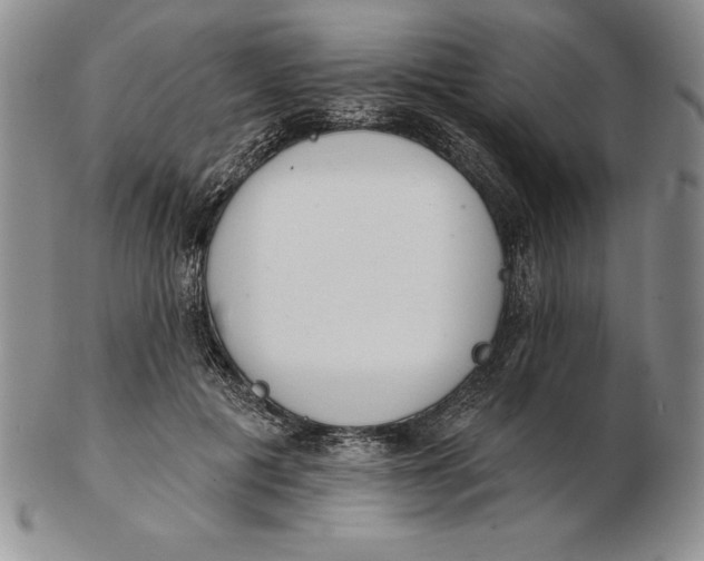 X0000102360601200808221717