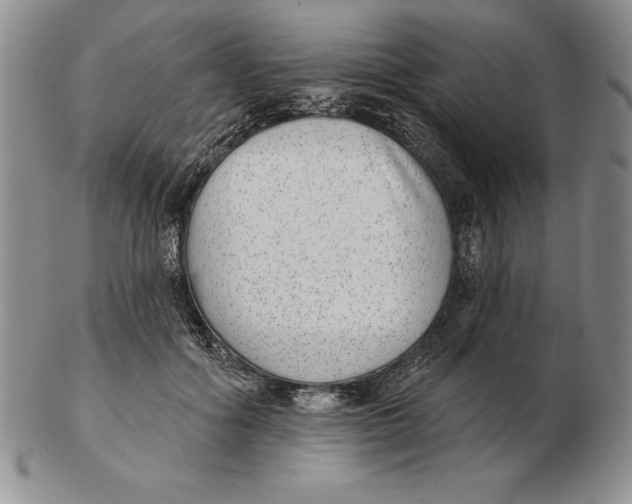 X0000102360602200808221717