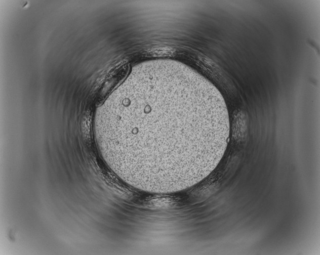 X0000102360604200808221717