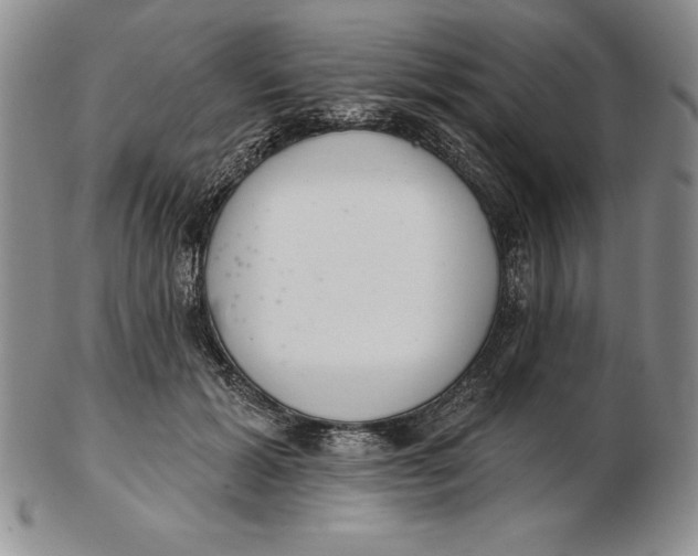 X0000102360605200808221717