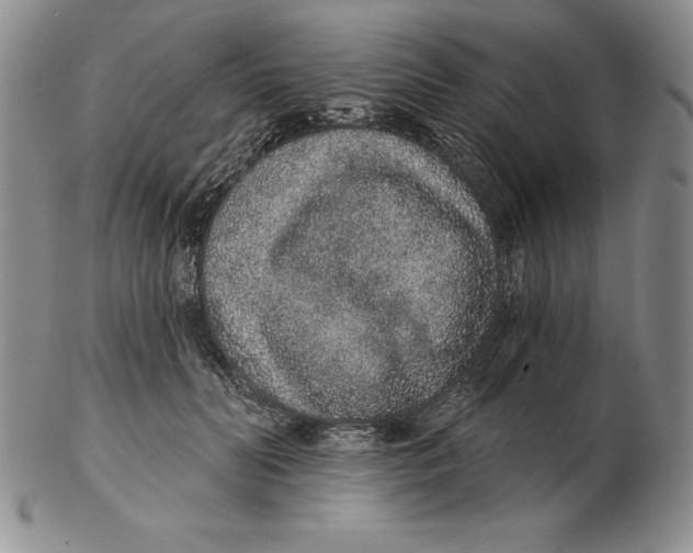 X0000102360606200808221717